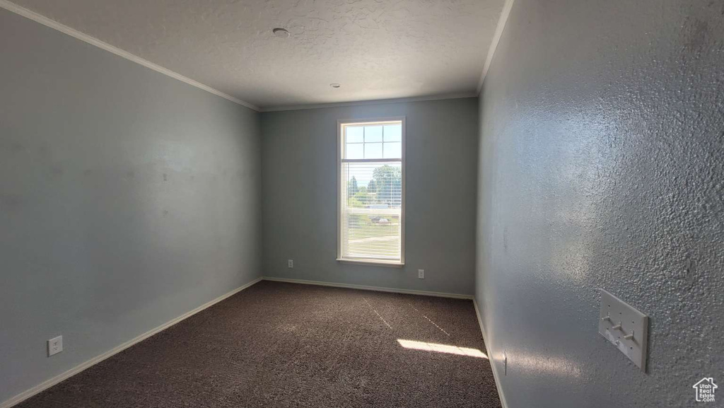 Carpeted empty room with crown molding and baseboards