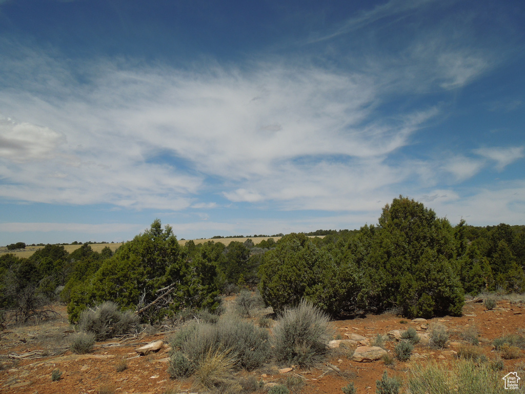 View of landscape