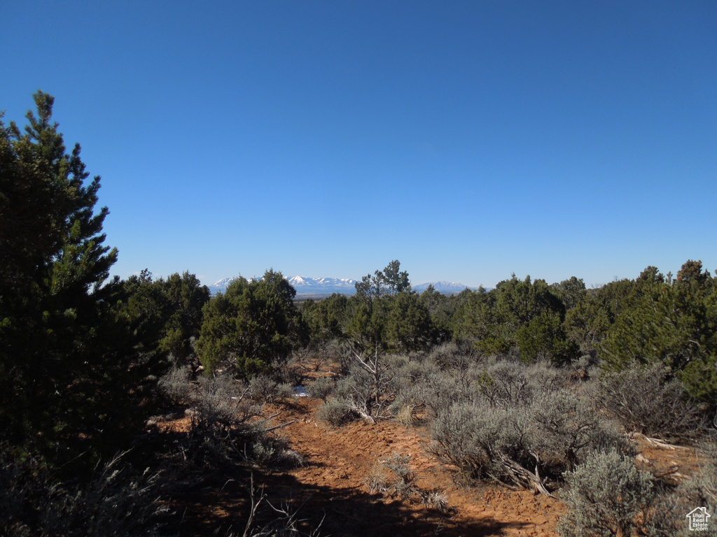 View of nature