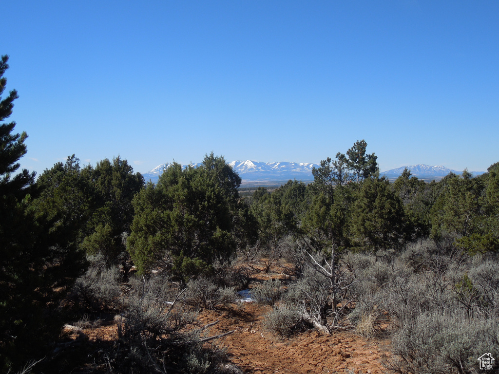 View of landscape with a wooded view and a mountain view