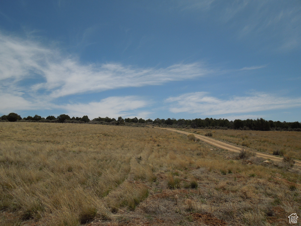 View of local wilderness with a rural view