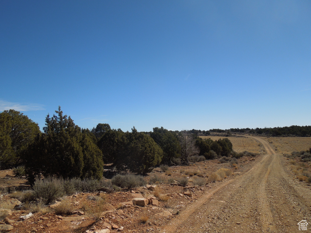 View of road