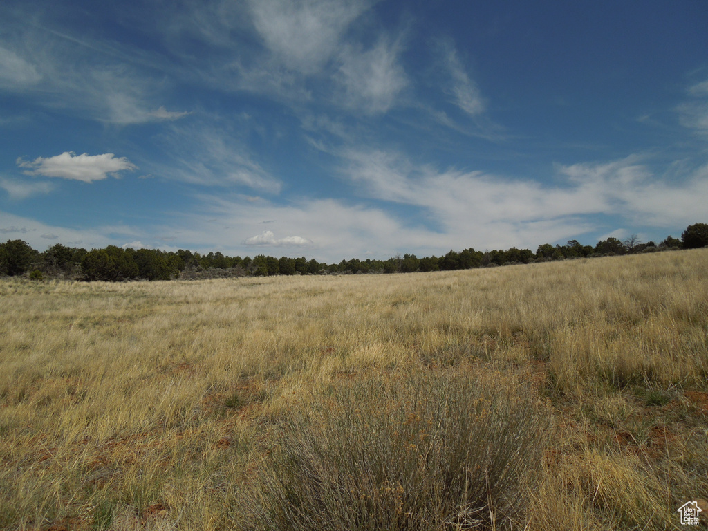 View of landscape featuring a rural view