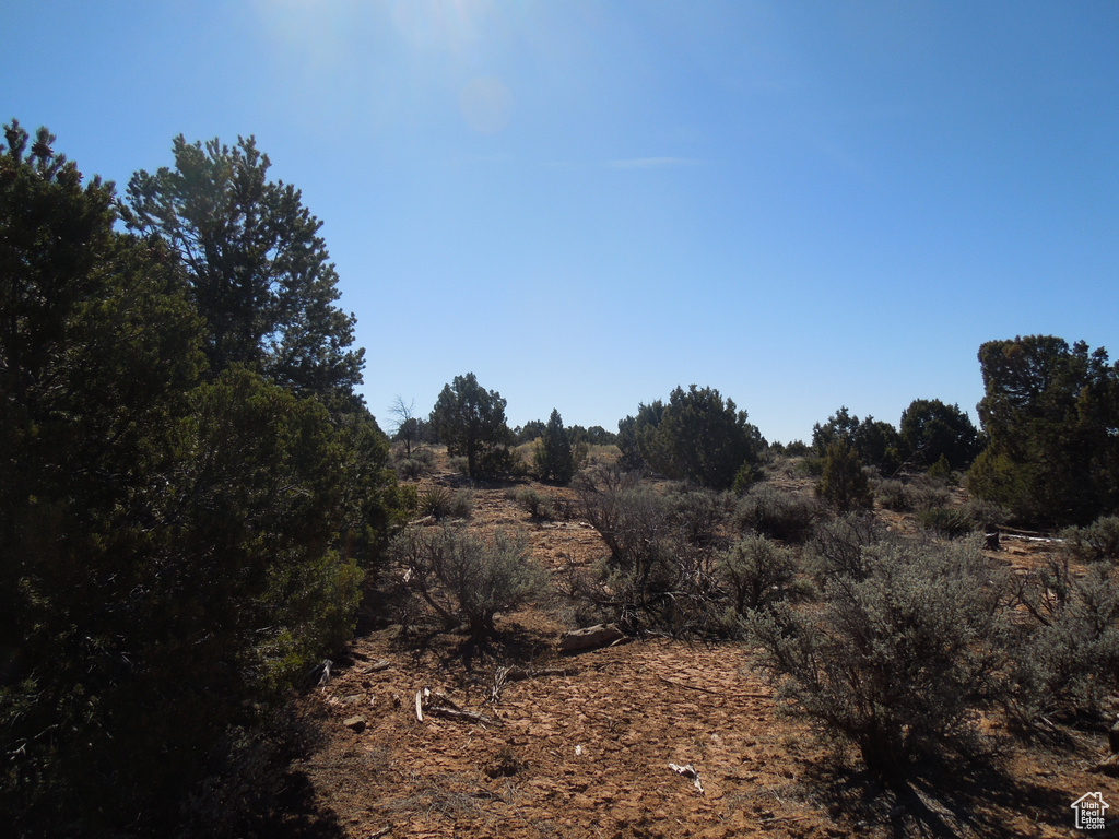 View of landscape