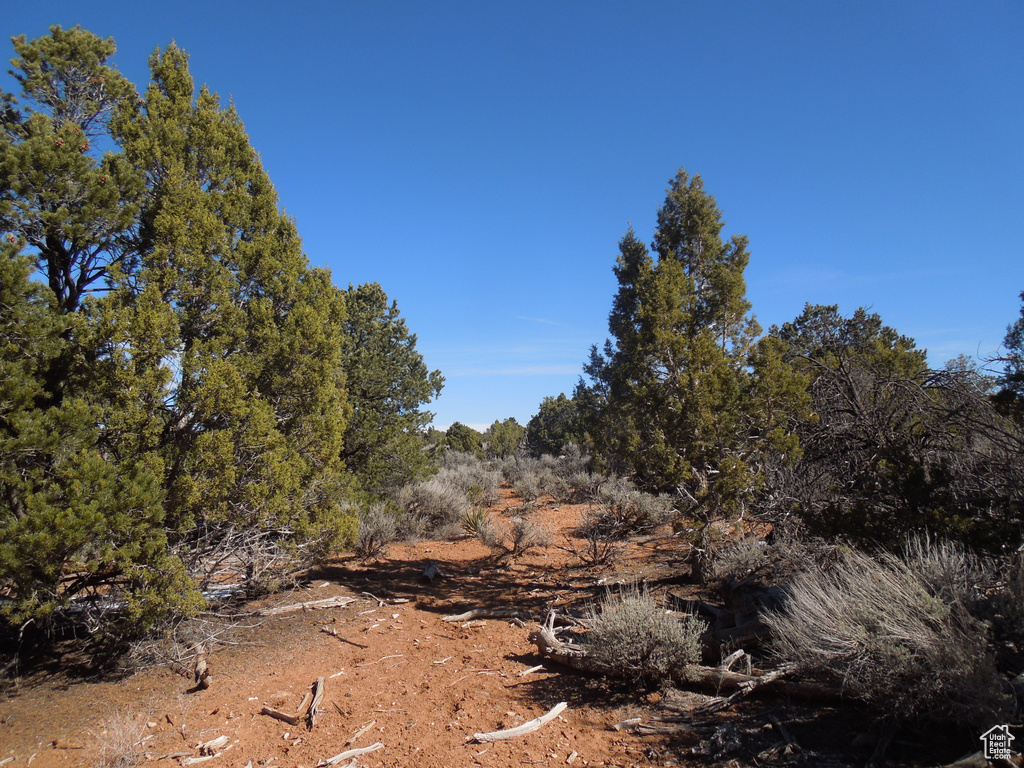 View of landscape