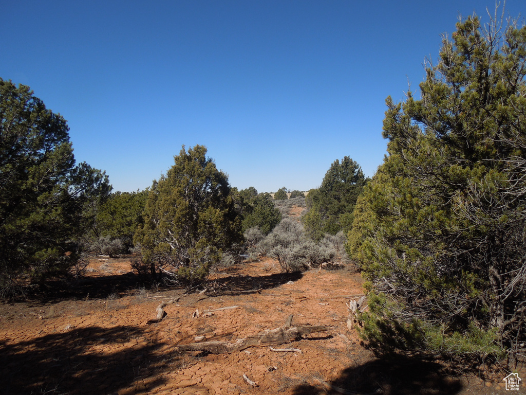 View of landscape