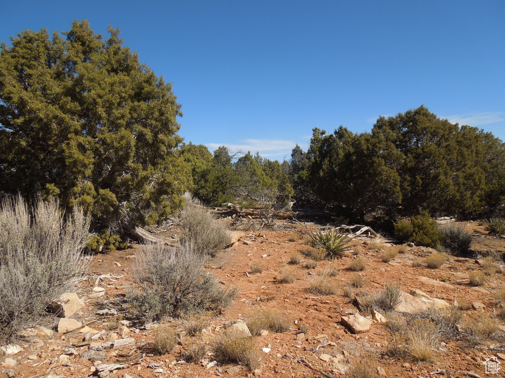 View of nature