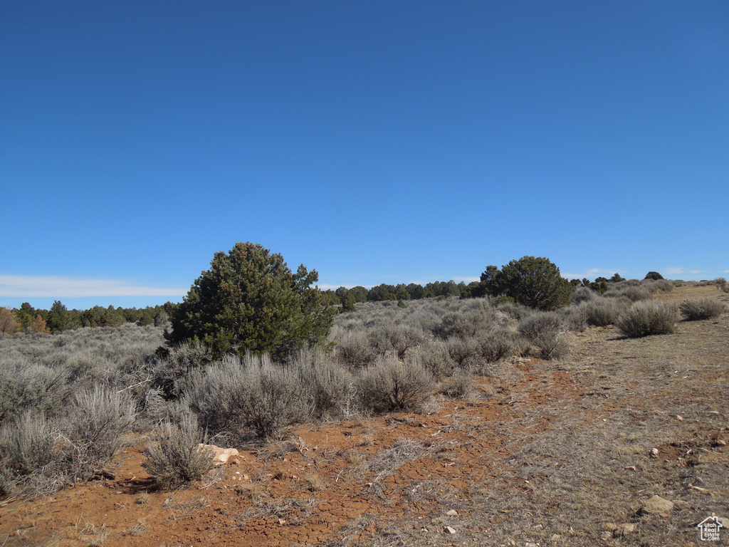 View of landscape