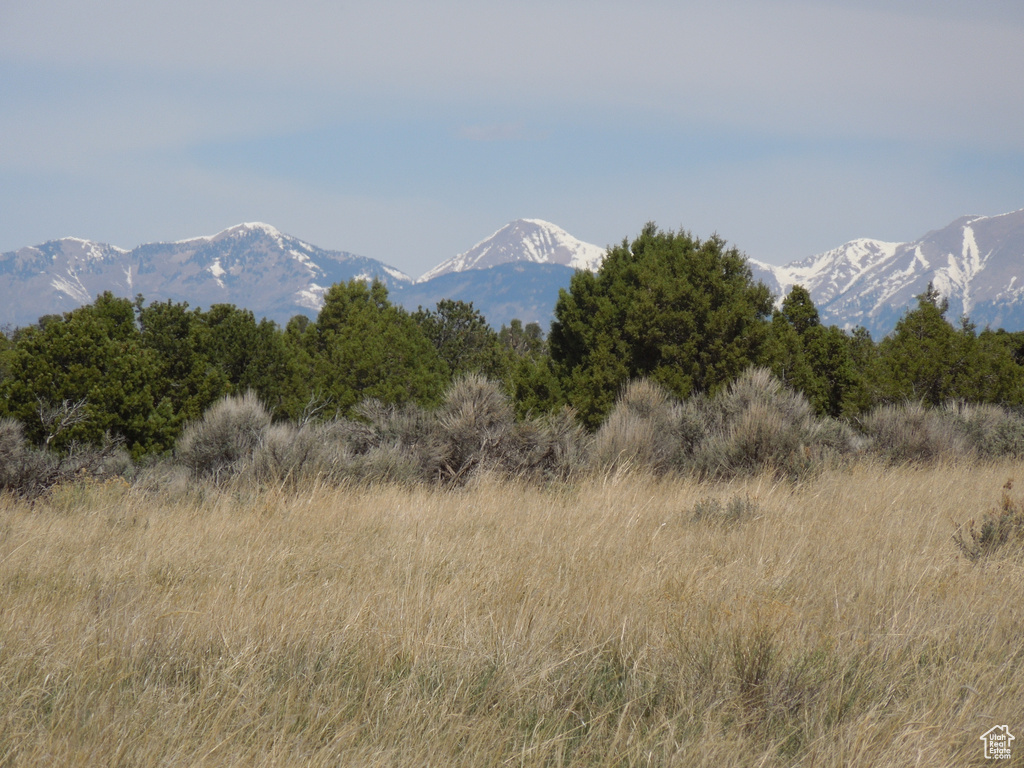 Property view of mountains