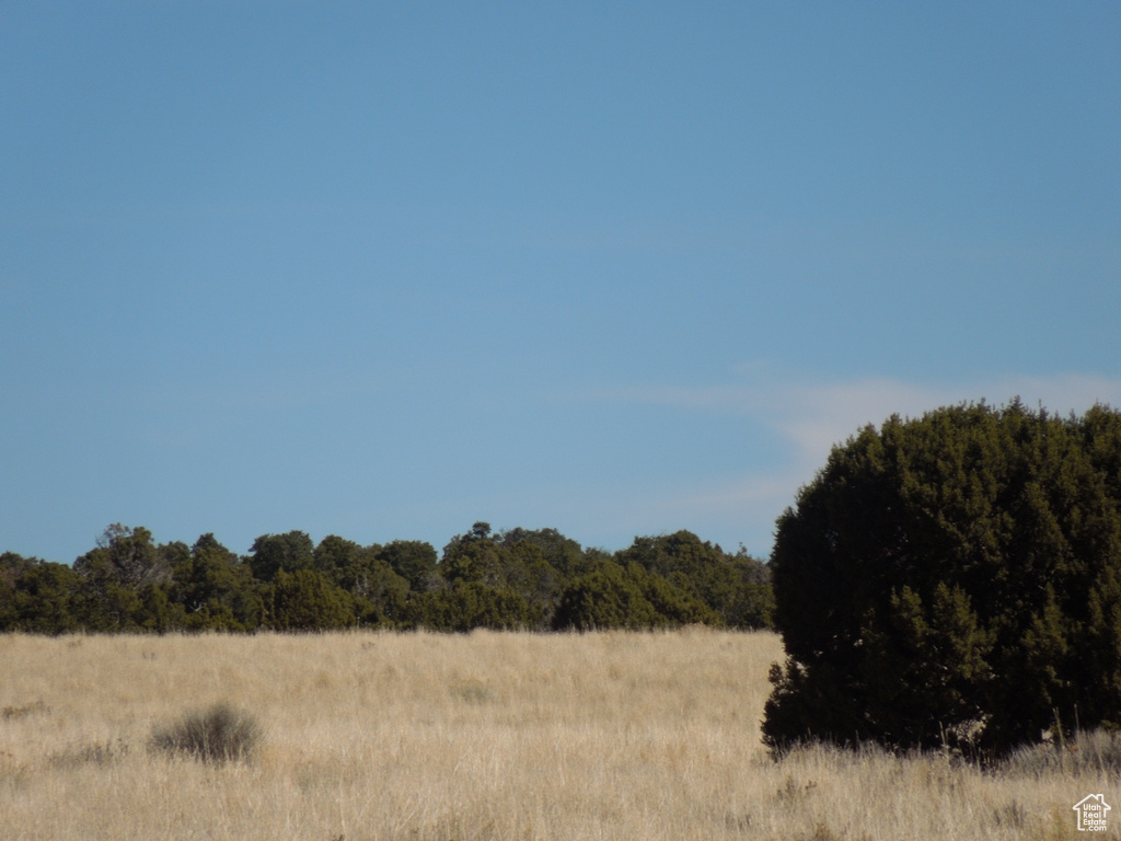 View of local wilderness featuring a forest view