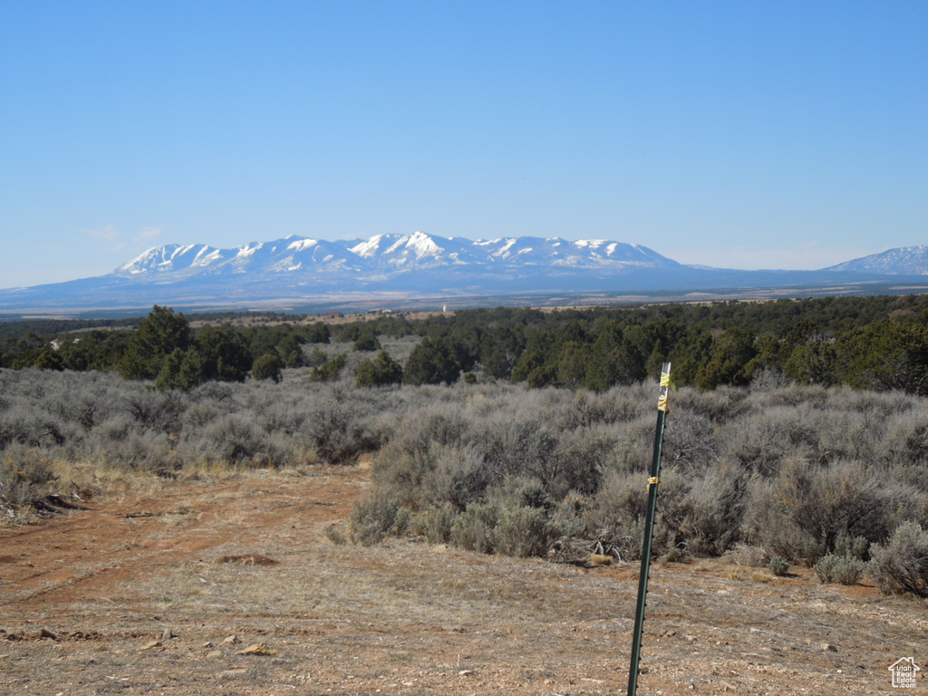 Mountain view