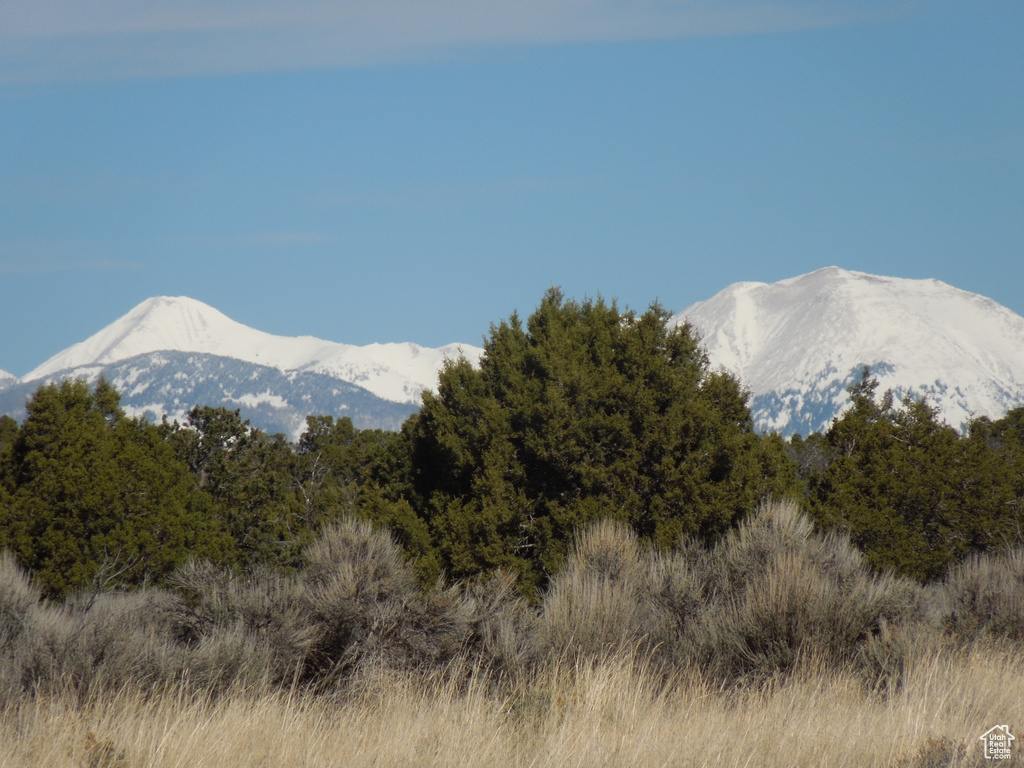 Mountain view