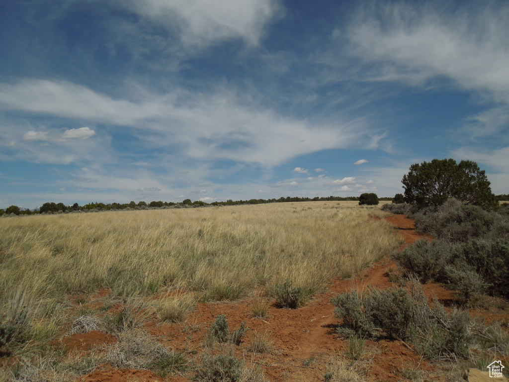 View of local wilderness with a rural view