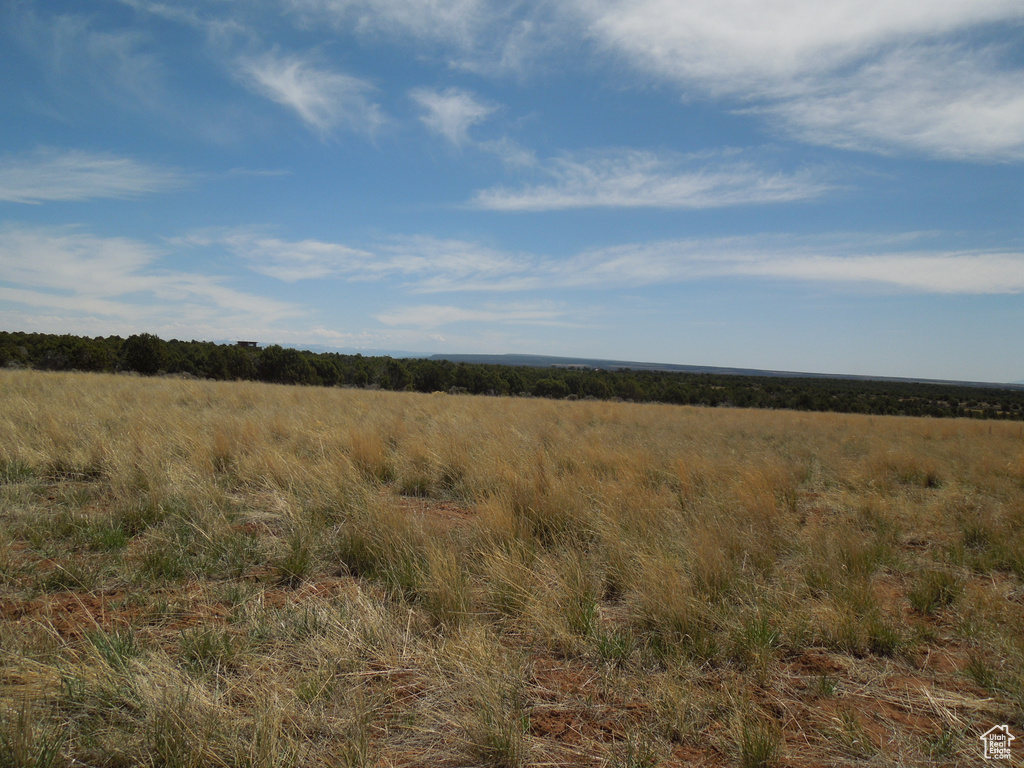 View of local wilderness with a rural view