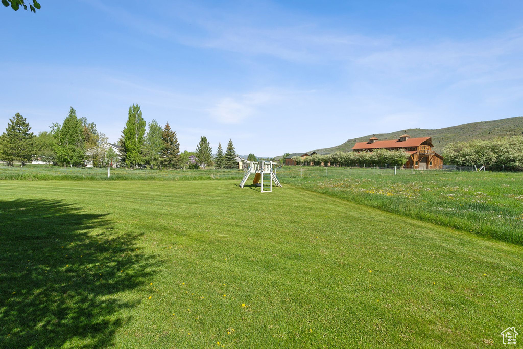 View of grassy yard