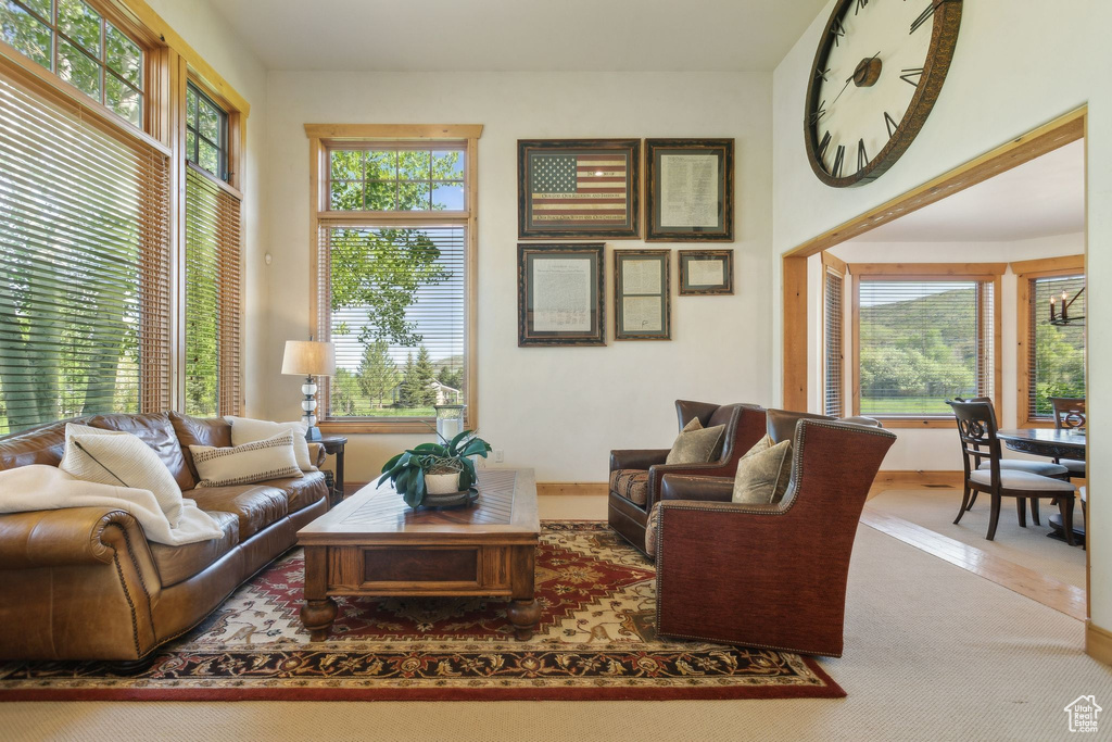 Carpeted living room featuring healthy amount of natural light