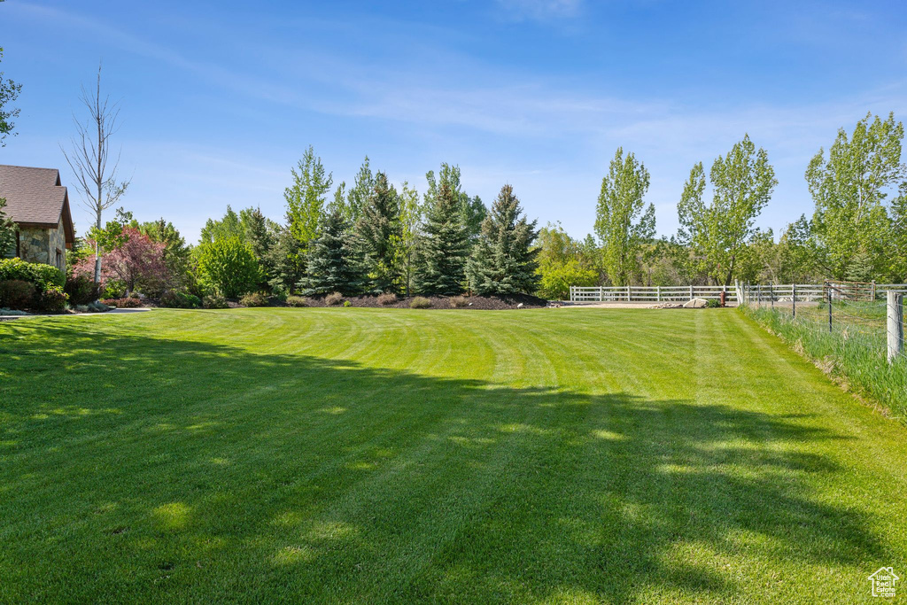 View of yard
