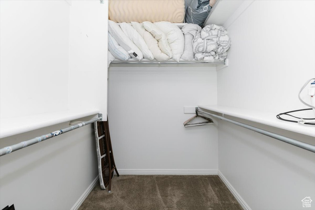 Walk in closet with carpet floors