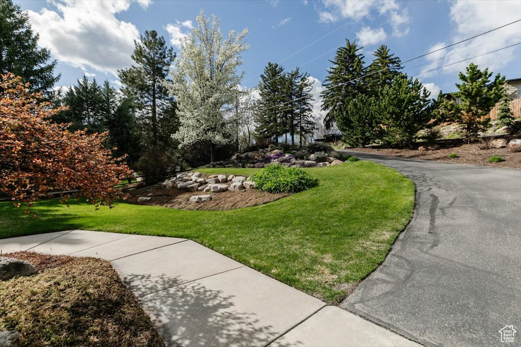 Surrounding community featuring a lawn