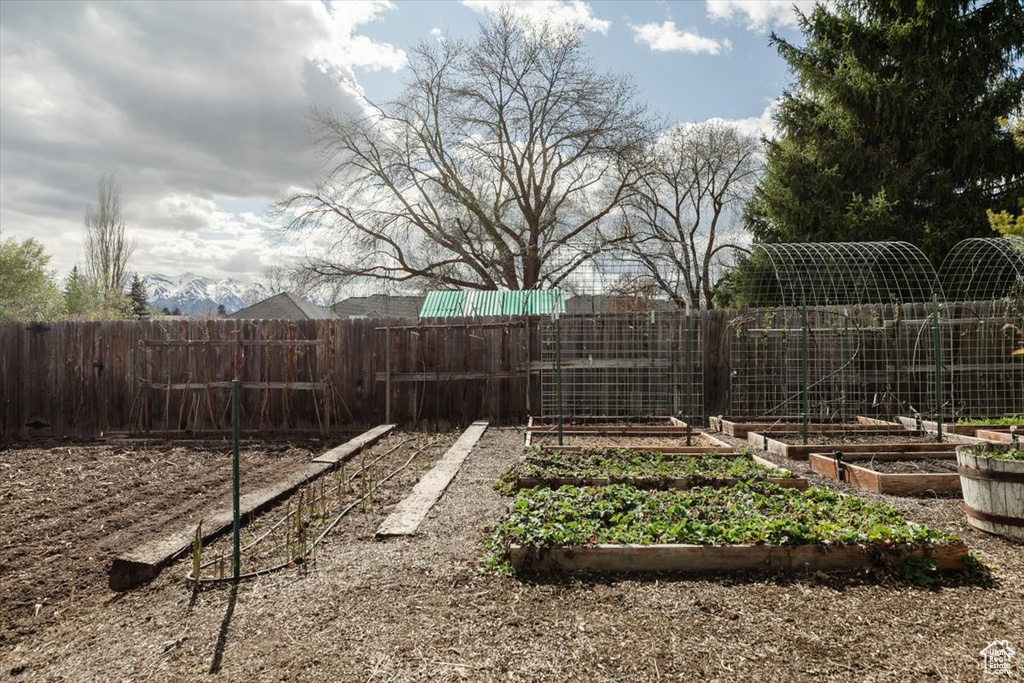 View of yard featuring a garden and fence