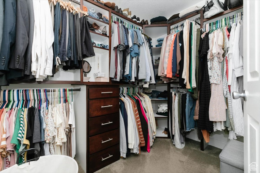 View of walk in closet