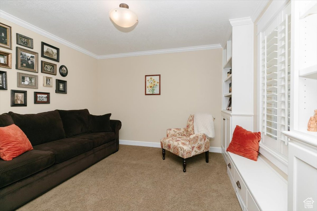 Living room with light carpet, baseboards, and ornamental molding