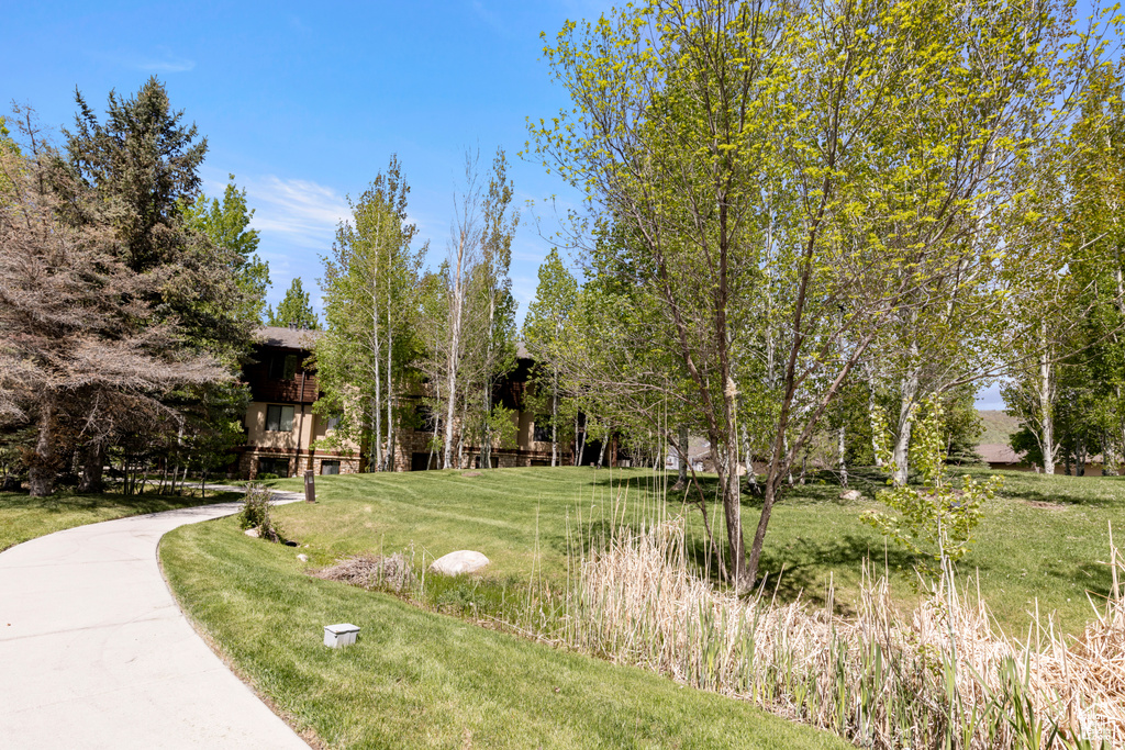 Surrounding community with a lawn