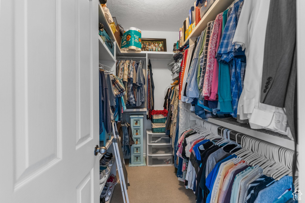 Walk in closet featuring carpet flooring