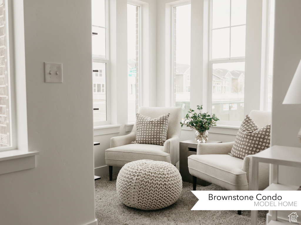 Living area featuring plenty of natural light