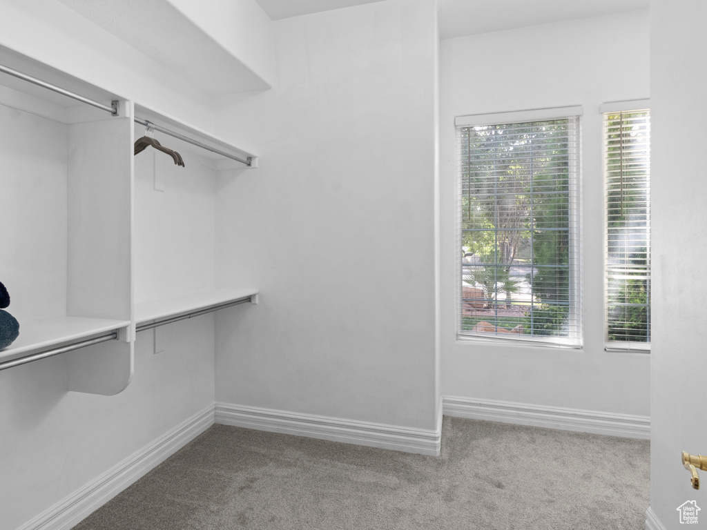Spacious closet featuring carpet flooring
