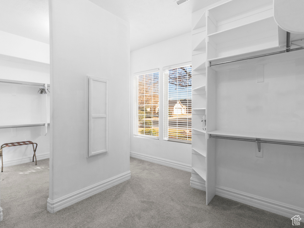 Walk in closet with carpet flooring