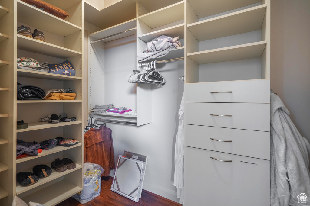 Walk in closet featuring dark wood-style floors