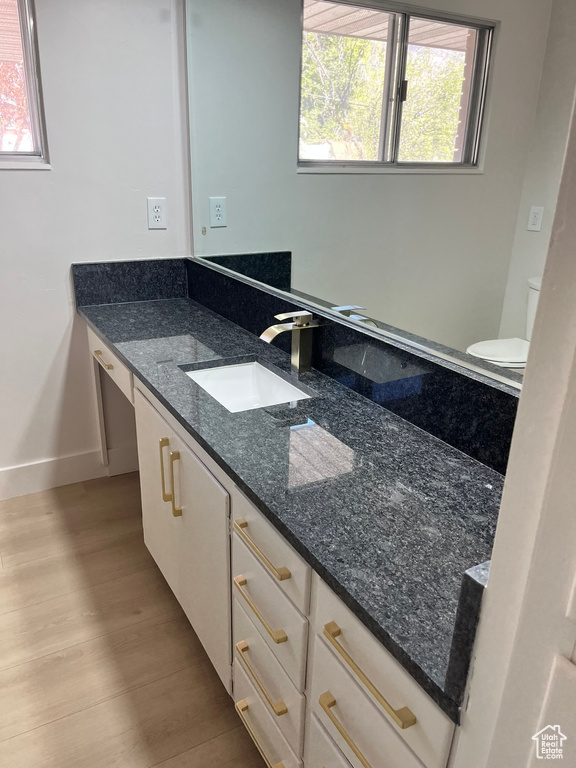 Bathroom with baseboards, wood finished floors, a wealth of natural light, and vanity