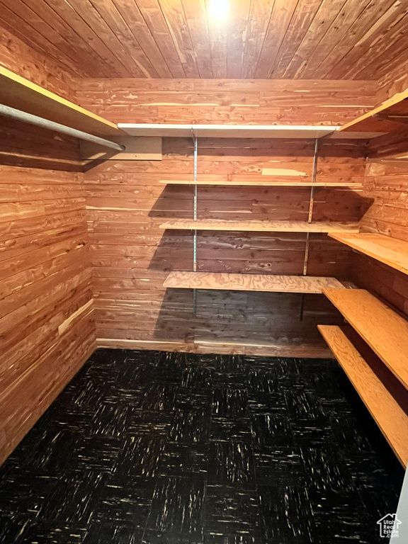View of walk in closet