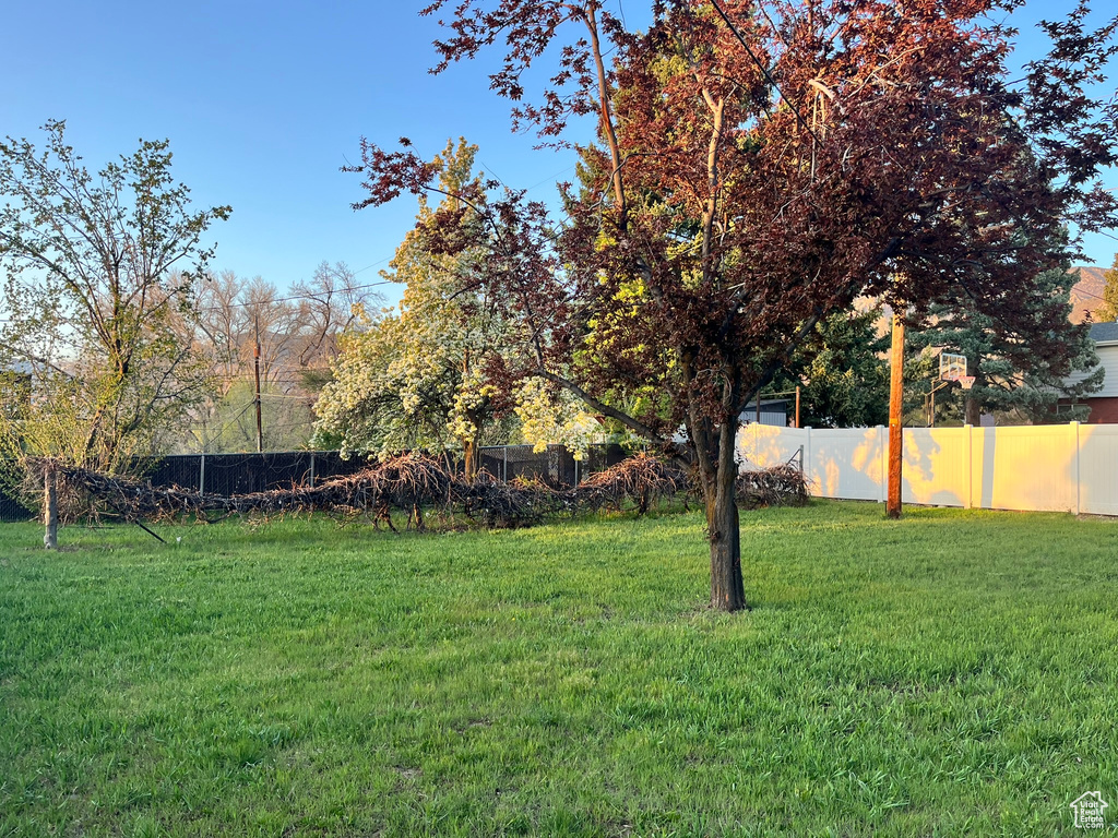 View of yard featuring fence