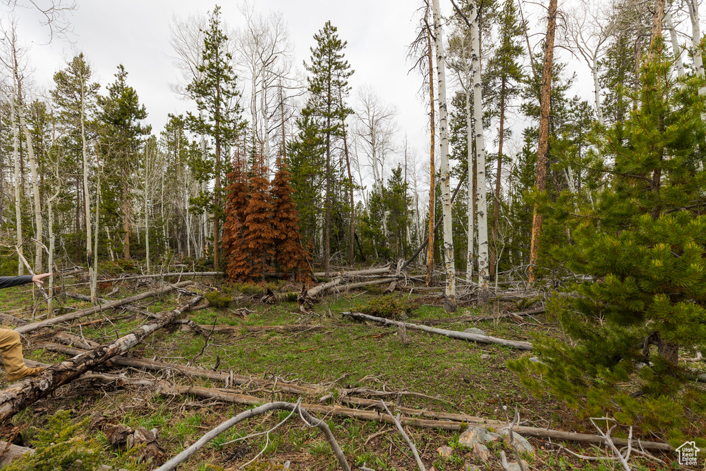 View of undeveloped land