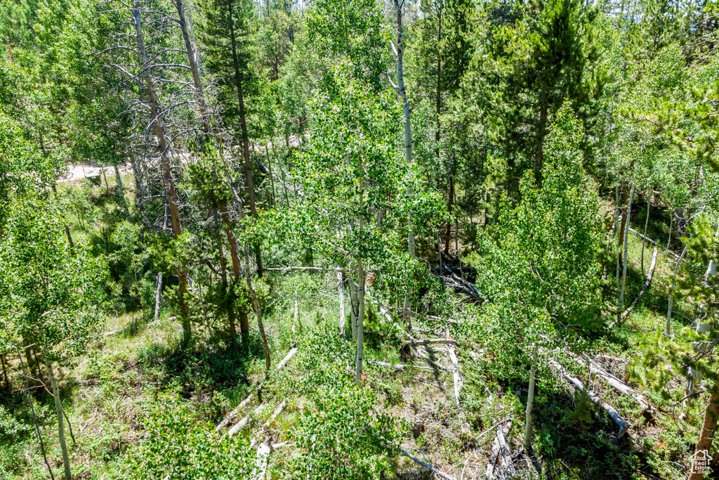  Kamas, UT 84036