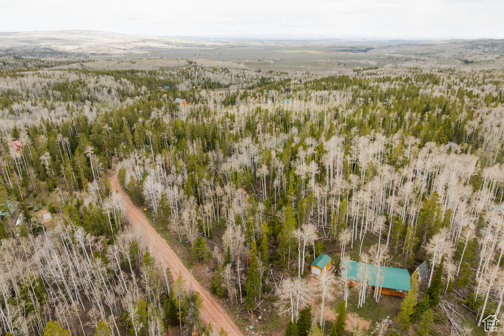 Drone / aerial view of a forest