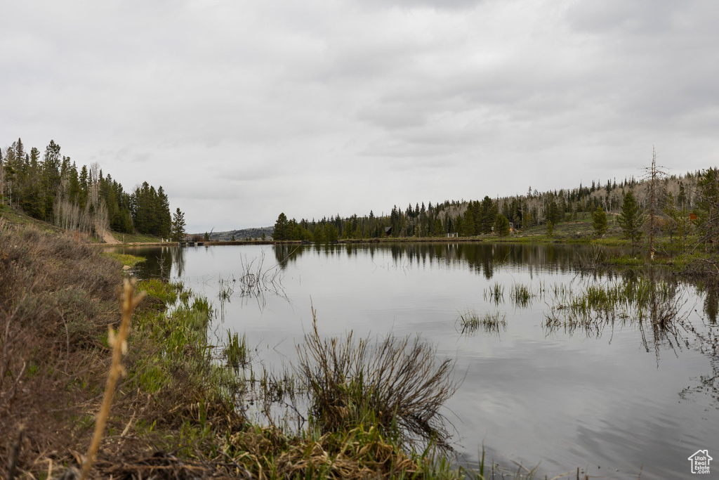 Water view with a heavily wooded area