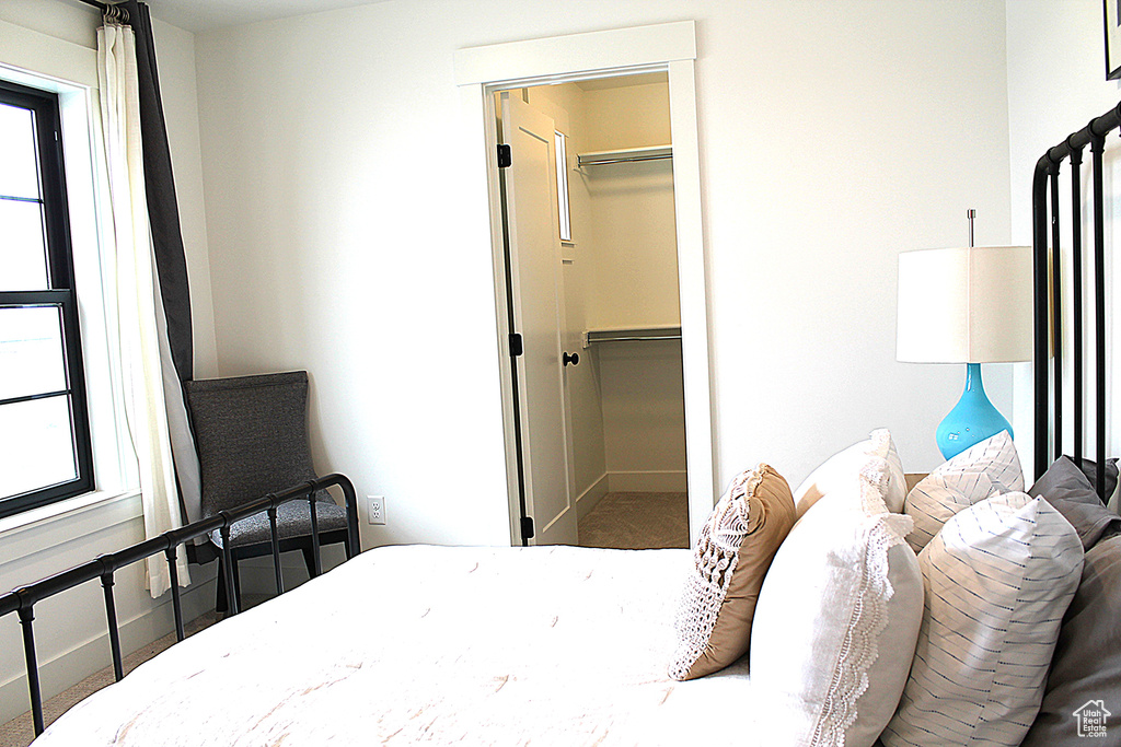 Bedroom featuring multiple windows, a spacious closet, a closet, and carpet