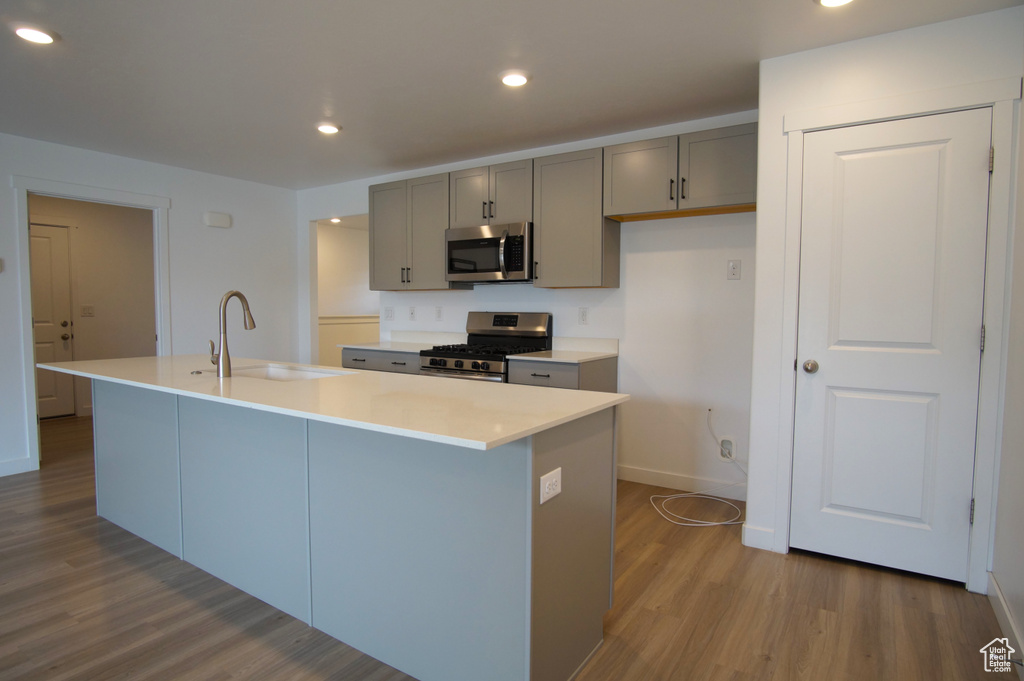Kitchen featuring wood finished floors, gray cabinets, stainless steel appliances, and a sink