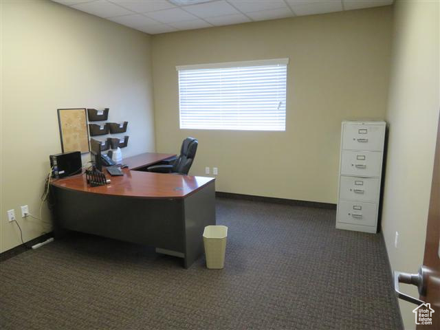 Carpeted office featuring baseboards and a paneled ceiling