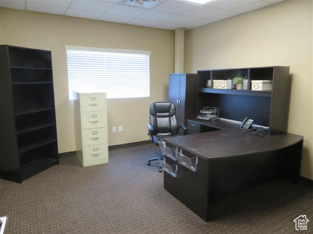 Carpeted office space featuring a drop ceiling