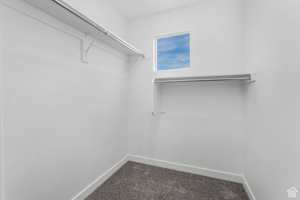 Spacious closet featuring dark colored carpet
