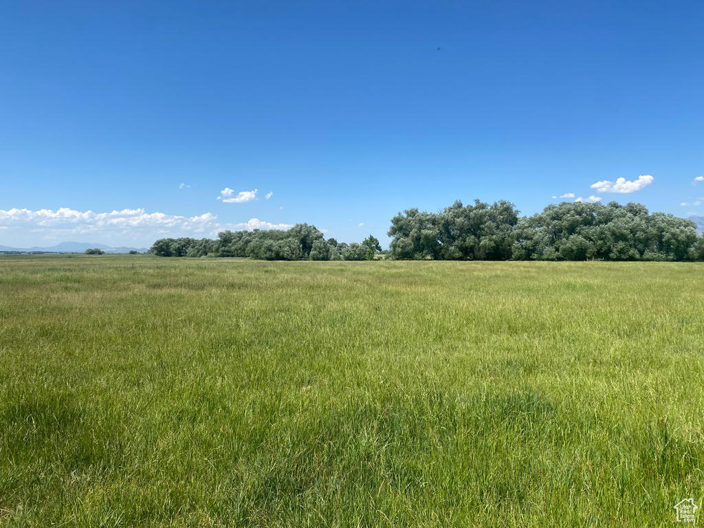 View of local wilderness featuring rural landscape