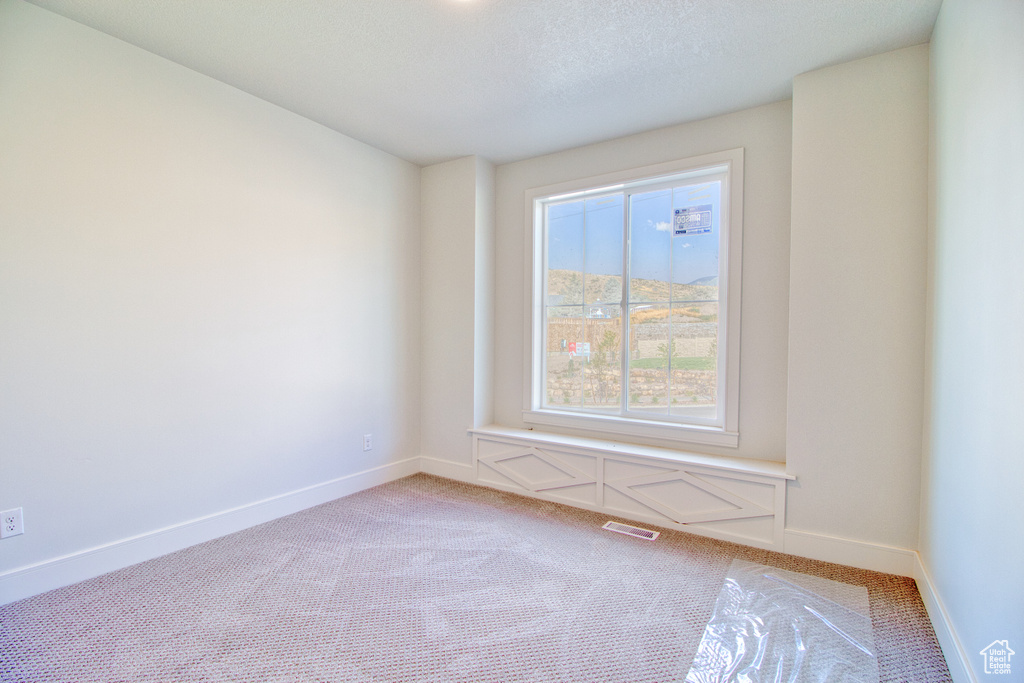 1338 S 450 E Payson, UT 84651