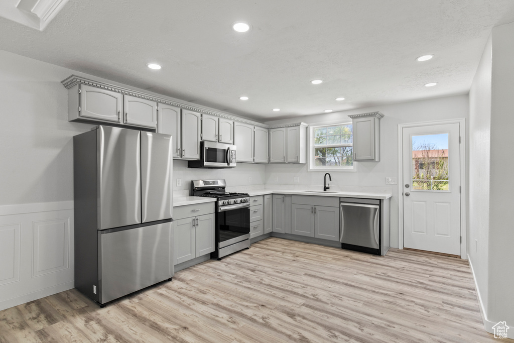 Kitchen with gray cabinetry, stainless steel appliances, light countertops, and light wood finished floors