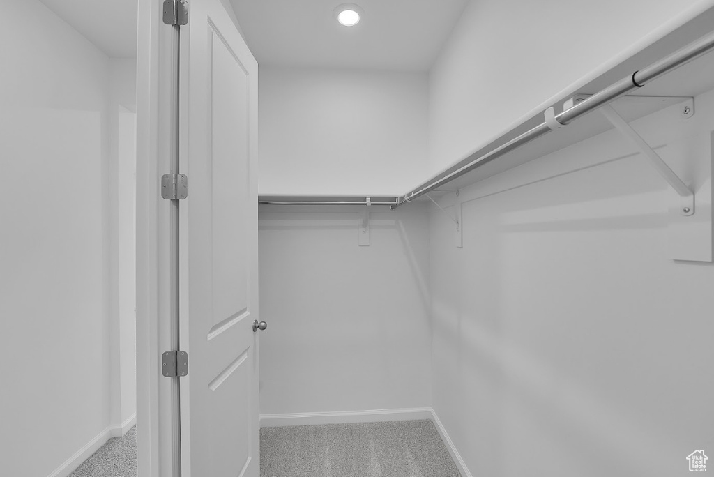 Walk in closet featuring carpet