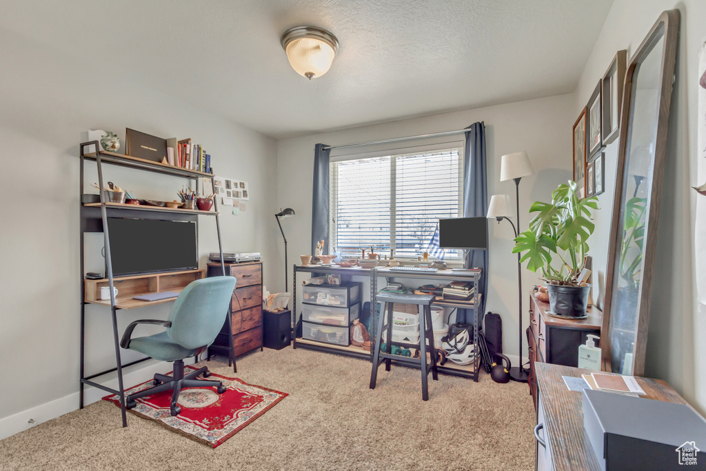 View of carpeted office space