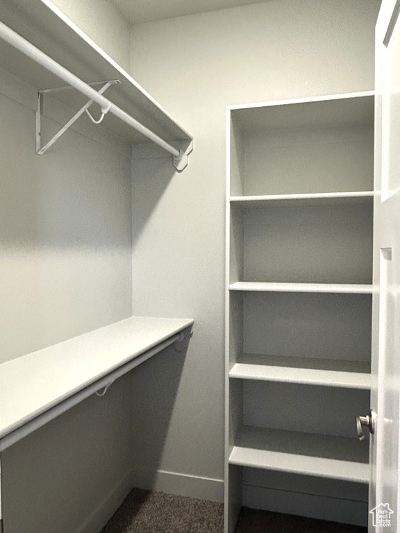 Walk in closet with carpet